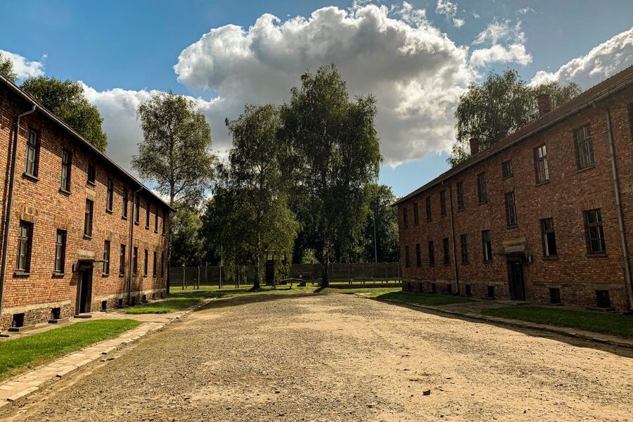 From Krakow: Auschwitz-Birkenau Memorial and Museum Tour - Why Auschwitz requires a guided visit