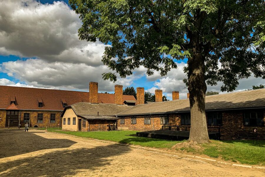 From Krakow: Auschwitz-Birkenau Memorial and Museum Tour - Food, bags, clothing, and other practical details