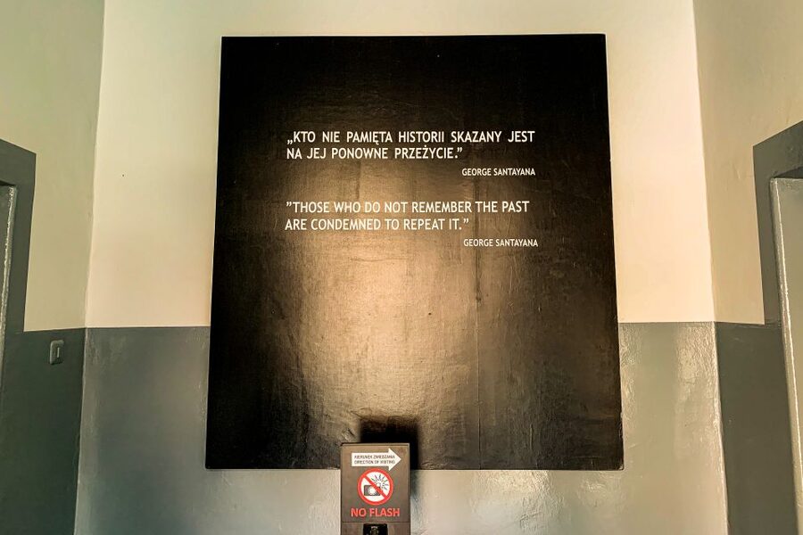 From Krakow: Auschwitz-Birkenau Memorial and Museum Tour - What the $81 price gets you