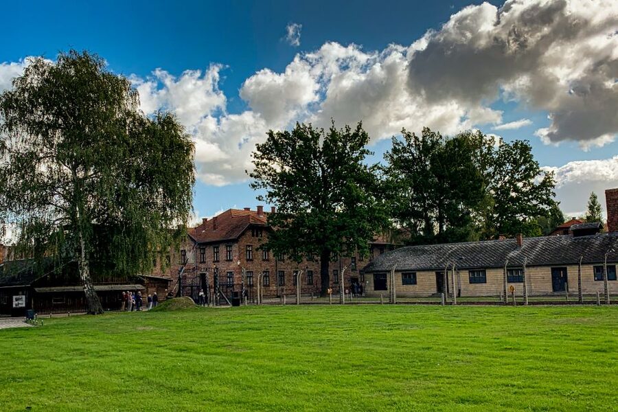 From Krakow: Auschwitz-Birkenau Memorial and Museum Tour - Who will get the most from this tour