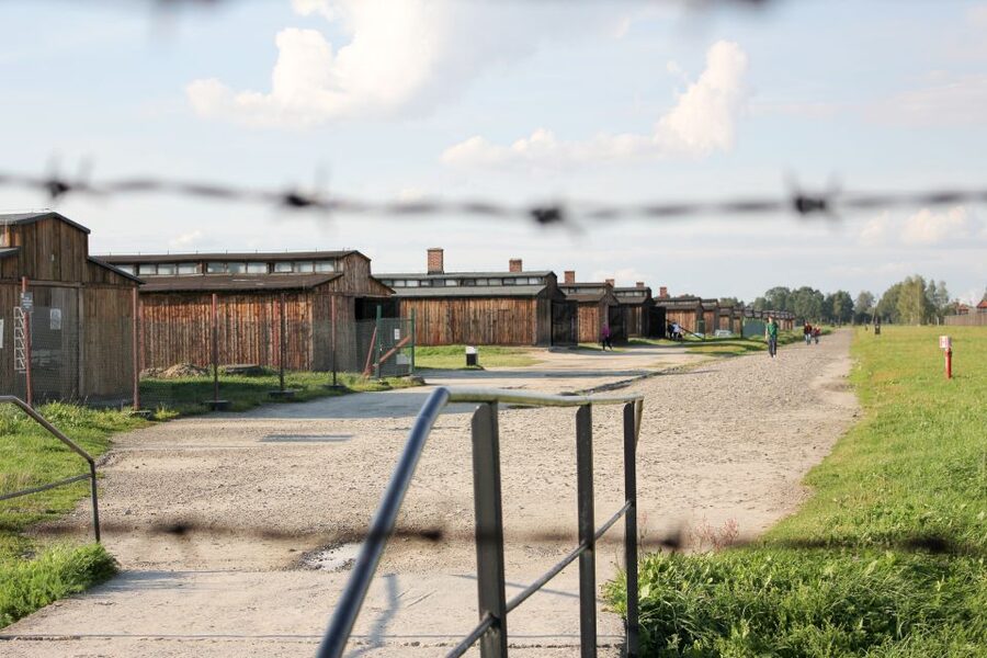 From Kraków: Auschwitz-Birkenau Memorial Guided Tour - Key points to know before booking