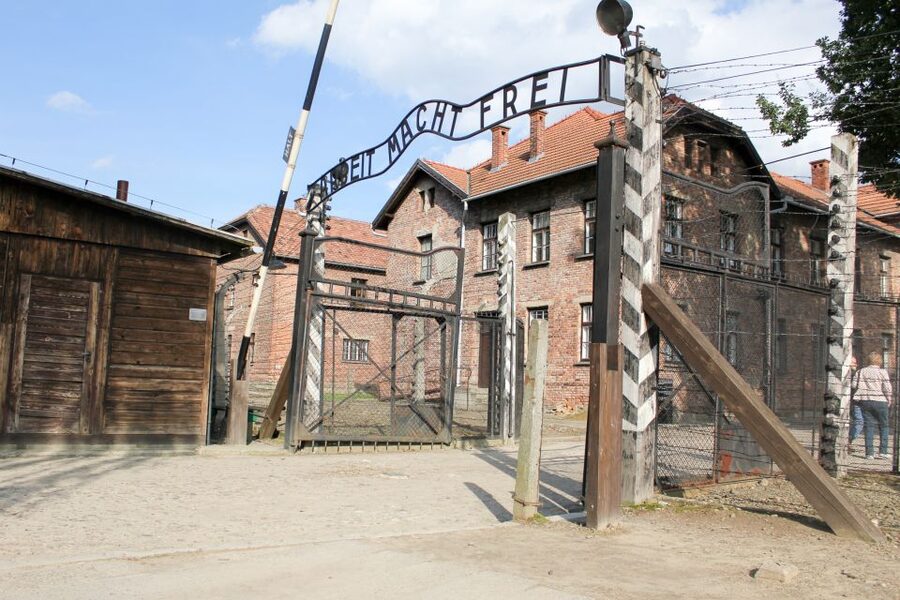 From Kraków: Auschwitz-Birkenau Memorial Guided Tour - Walking through Auschwitz I