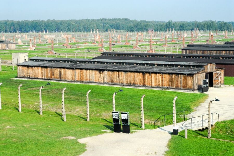 From Kraków: Auschwitz-Birkenau Memorial Guided Tour - Who will get the most from this Kraków day trip