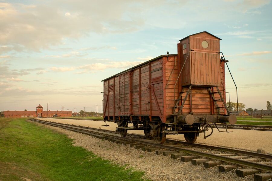 From Kraków: Auschwitz-Birkenau Memorial Guided Tour - Should you book this Auschwitz-Birkenau tour?