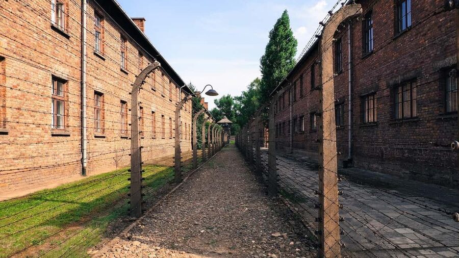 From Krakow: Auschwitz-Birkenau Memorial Private Tour - Who Should Book This Auschwitz Tour