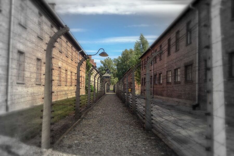 From Krakow: Auschwitz-Birkenau Private or Shared Tour - The return to Kraków and the value of the service