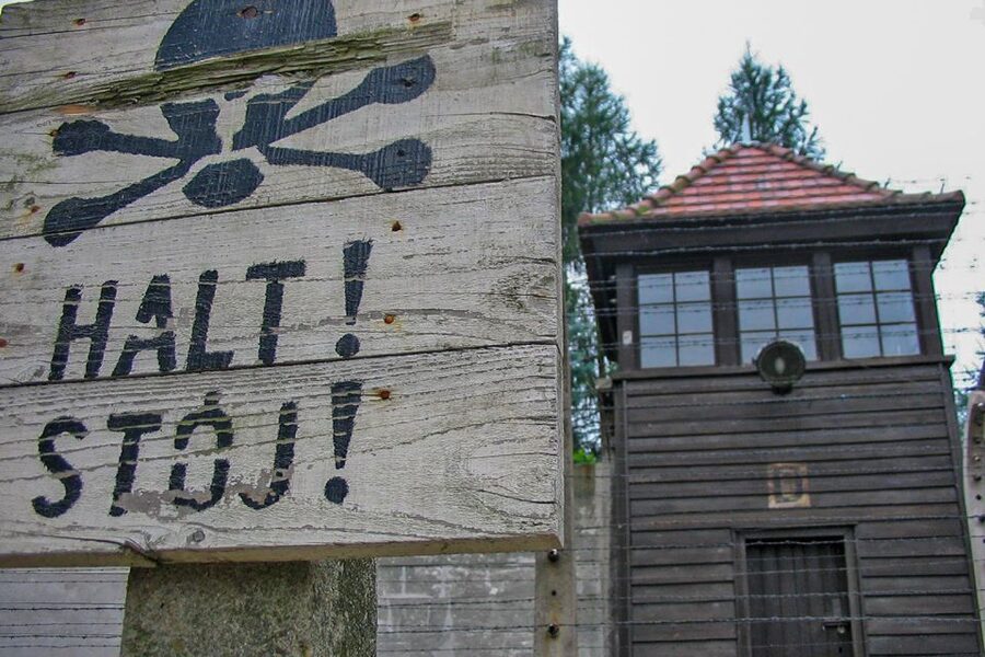 From Krakow: Auschwitz-Birkenau Private or Shared Tour - Who should choose this experience