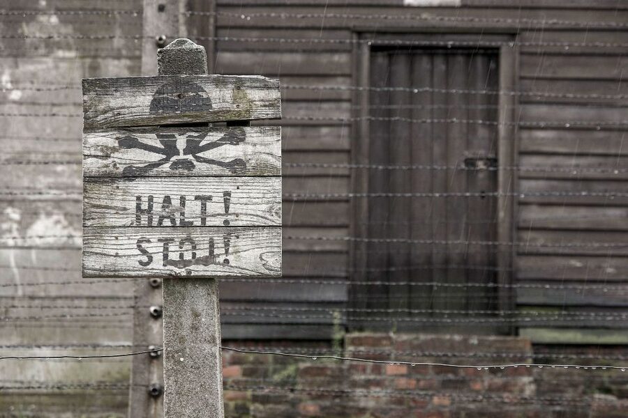 From Krakow: Auschwitz-Birkenau & Schindler's Factory Tour - Key points before you book