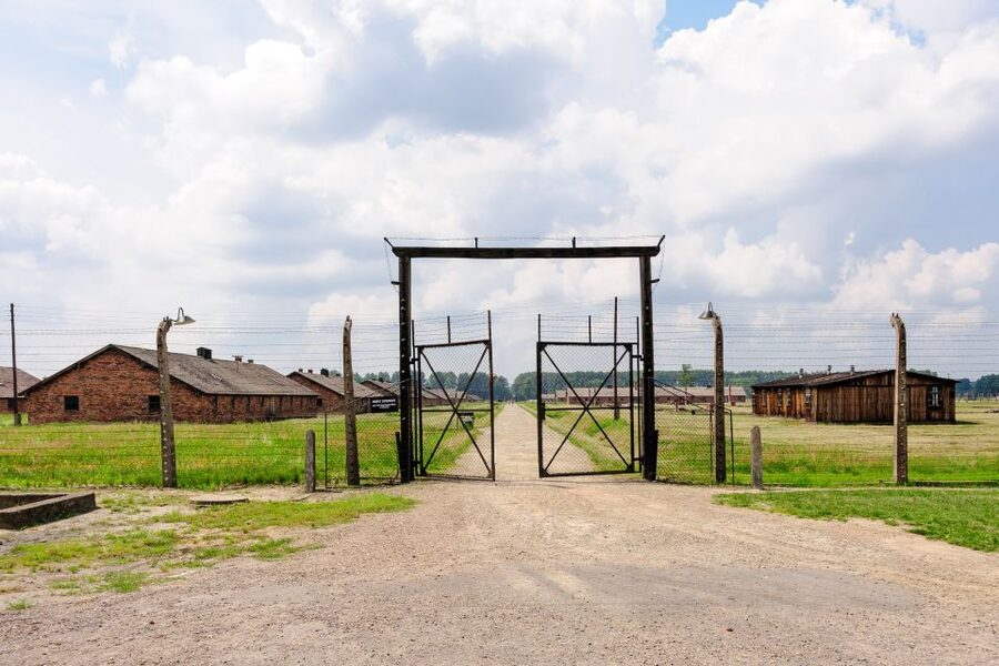 From Krakow: Auschwitz Birkenau Self-Guided Tour - Timing, Bags, Documents, and Mobility