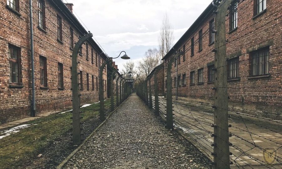 From Krakow: Auschwitz Birkenau Self-Guided Tour - The Café Break and First Orientation