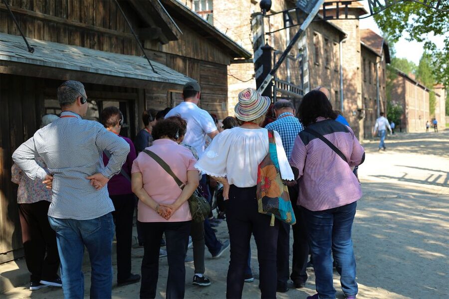From Krakow: Auschwitz Birkenau Small Group Tour with Pickup - Small group or private transport?
