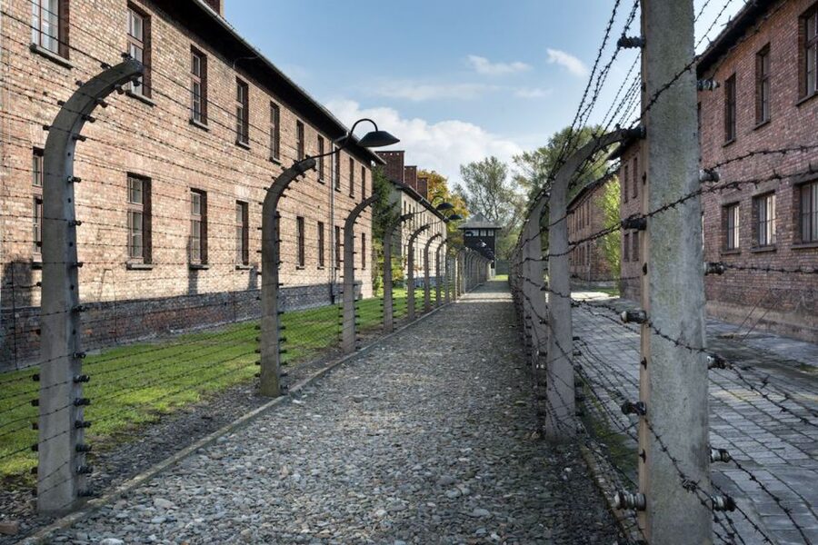 From Krakow: Auschwitz-Birkenau Tour - Key points to know before booking
