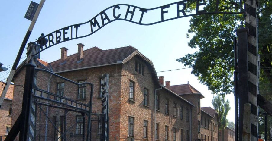 From Krakow: Auschwitz-Birkenau Tour - Should you book it?