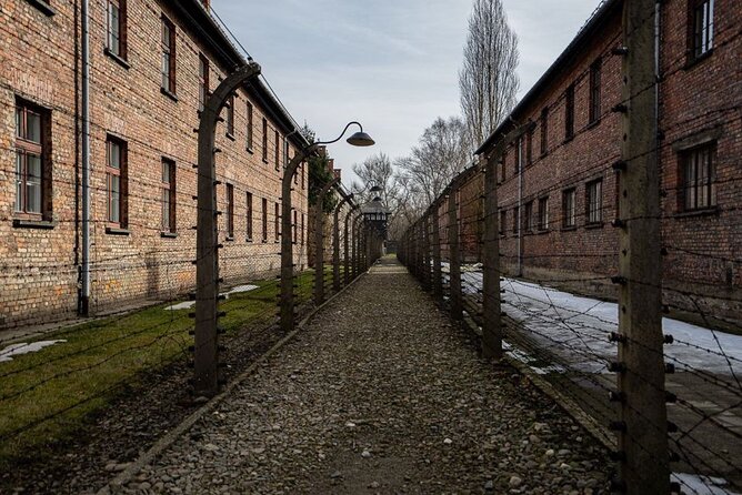 From Kraków: Auschwitz-Birkenau Tour with Lunch Box and Pick Up - Birkenau: the scale becomes impossible to ignore