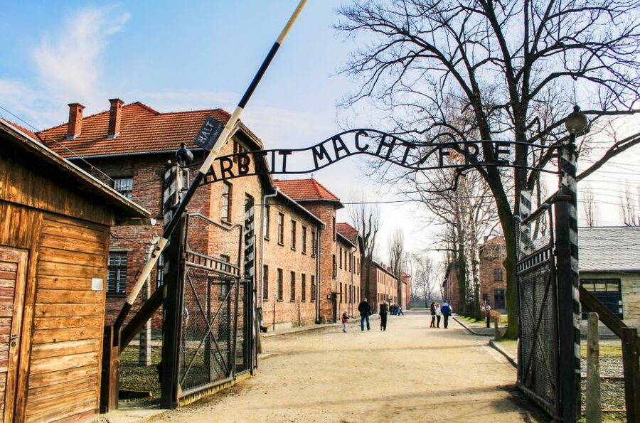 From Krakow: Auschwitz-Birkenau Tour with Transportation - Price, comfort, and overall value