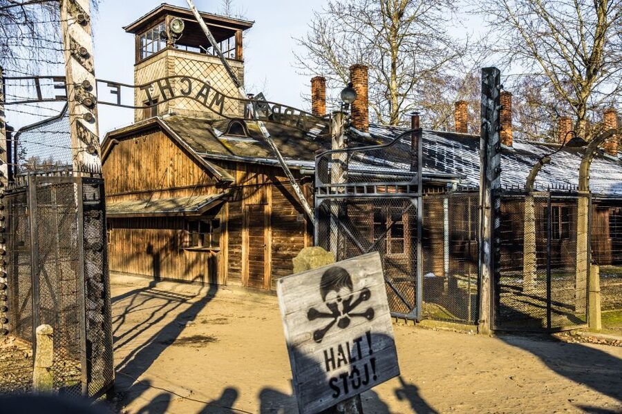 From Krakow: Auschwitz-Birkenau Tour with Transportation - Value, group choices, and who should book