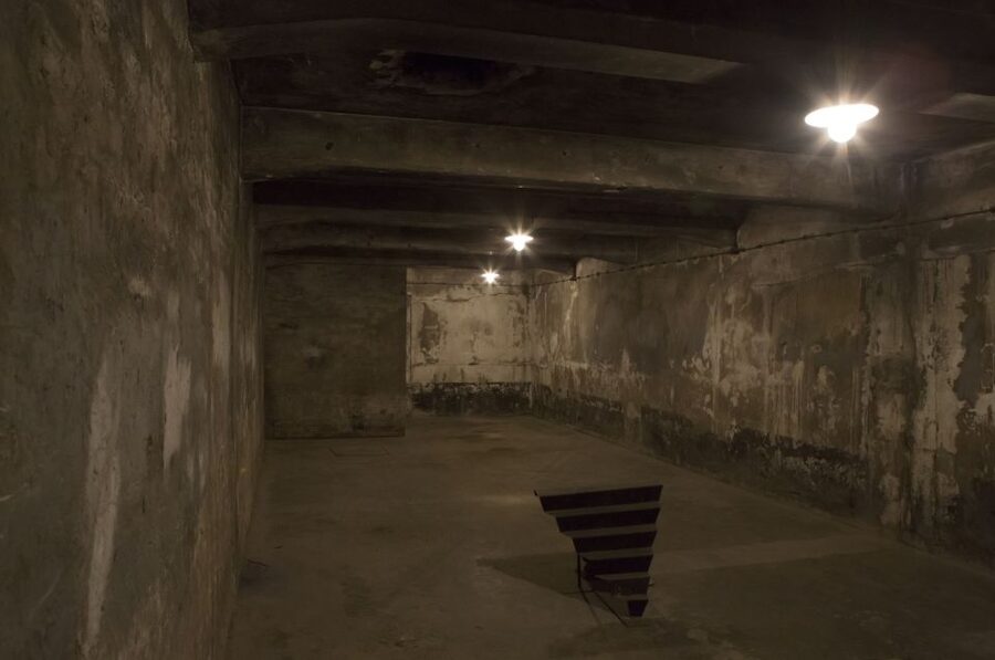 From Krakow: Auschwitz-Birkenau Tour - Walking through Auschwitz II-Birkenau