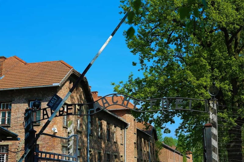From Krakow: Auschwitz Museum and Wieliczka Salt Mine Tour - Key points to know before booking