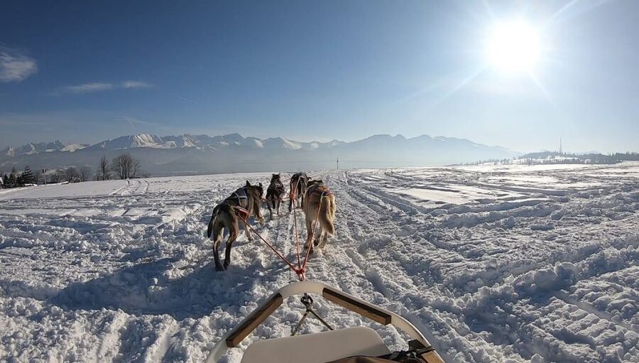 From Krakow: Dogsled Ride in Tatra Mountain - Riding through the Chocholowska Valley