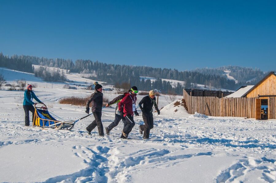 From Krakow: Dogsled Ride in Tatra Mountain - Who will enjoy this mountain outing?
