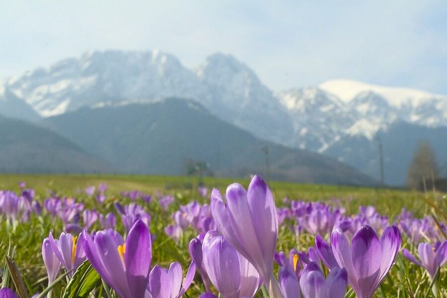 From Krakow: Full-Day Tour of Zakopane and Tatra Mountains - Guides can make the long day easier
