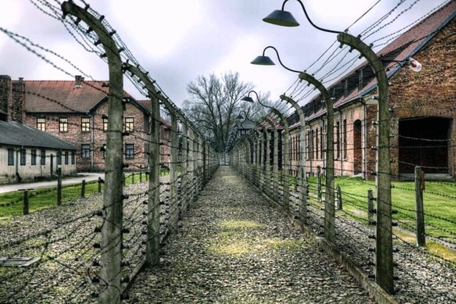 From Krakow: Guided Auschwitz-Birkenau Group Tour by Minivan - Why this visit matters