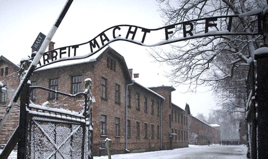 From Krakow: Guided Auschwitz-Birkenau Group Tour by Minivan - Birkenau and the scale of the camp