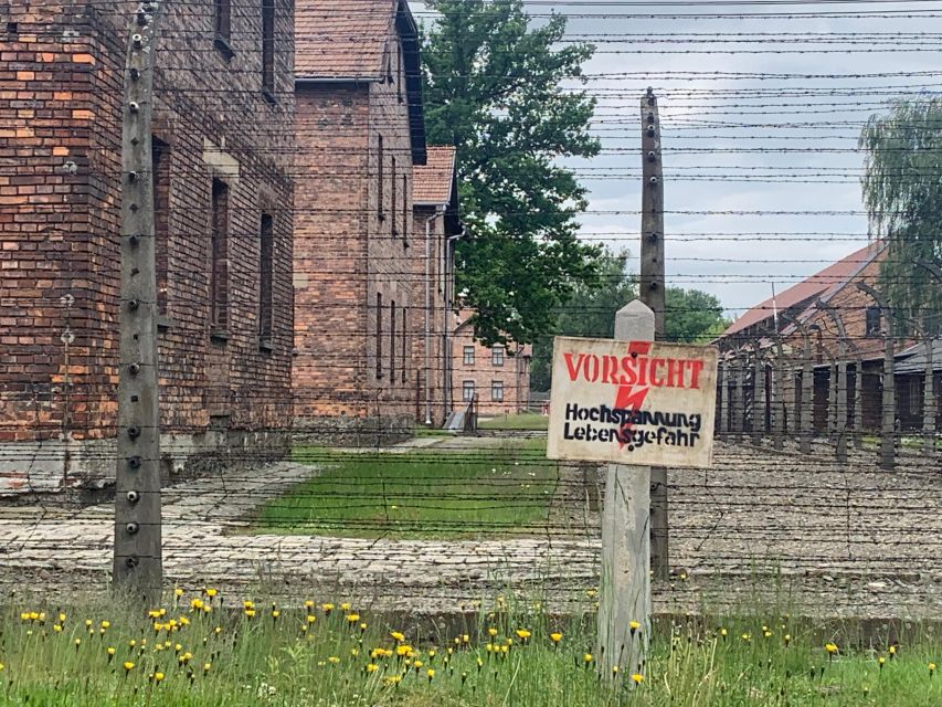 From Krakow: Guided Auschwitz-Birkenau Group Tour by Minivan - A museum tour with official controls