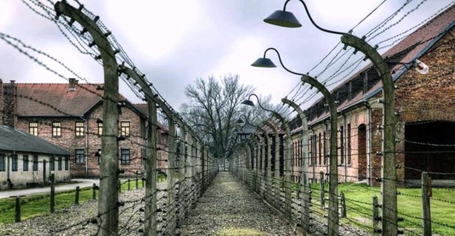 From Krakow: Guided Auschwitz-Birkenau Group Tour by Minivan - What the strongest service looks like