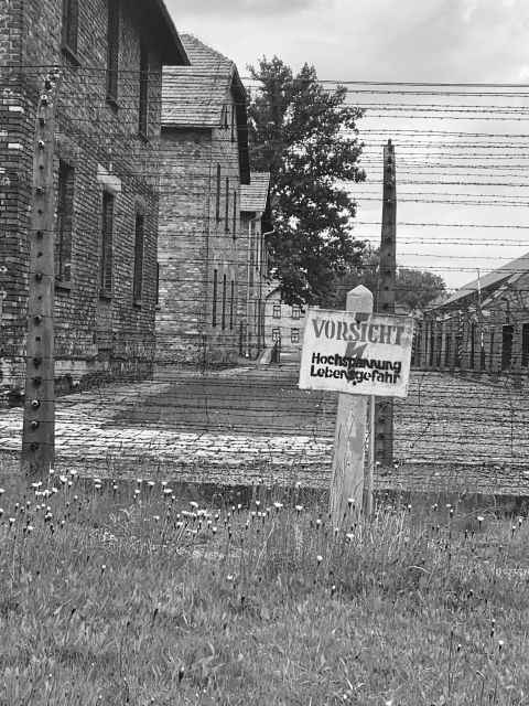 From Krakow: Guided Auschwitz-Birkenau Group Tour by Minivan - Who should choose this tour