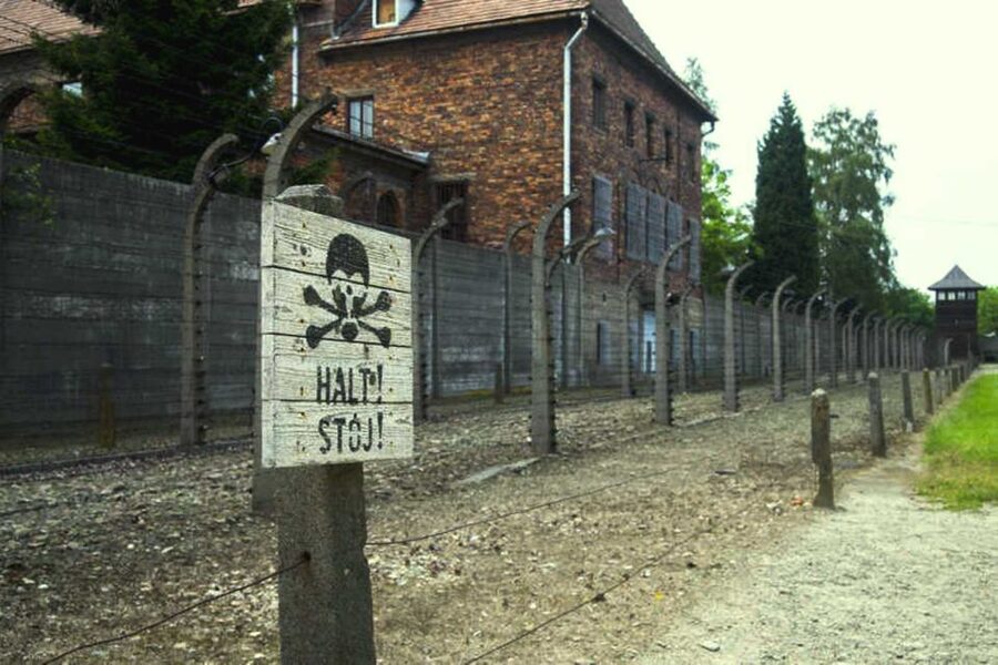 From Krakow: Guided Auschwitz-Birkenau Group Tour by Minivan - From Krakow to the memorial by minivan