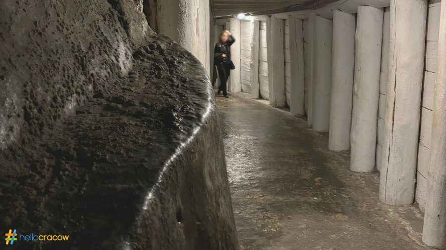 From Krakow: Guided Tour in Wieliczka Salt Mine - Guide quality matters here