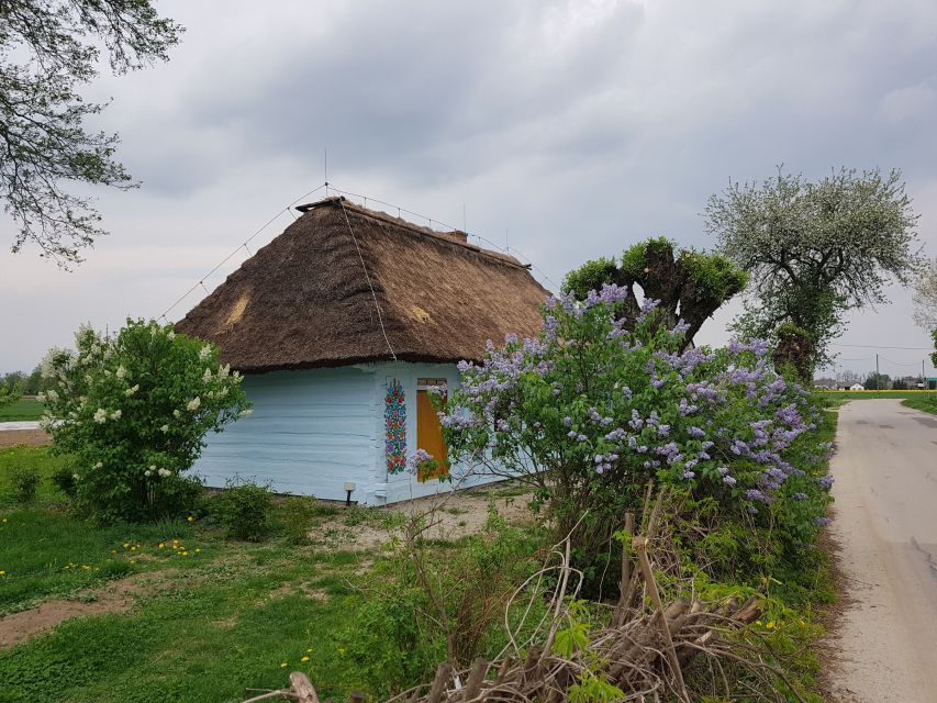 From Krakow: Guided Tour of Zalipie - Walking through painted homes and household art