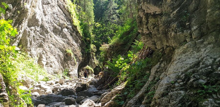 From Krakow: Hiking in the Tatra Mountains and Thermal baths - Is $167 good value?