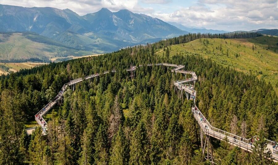 From Krakow: Morskie Oko and Slovakia Treetop Walk - Walking up to the Slovak treetop bridge