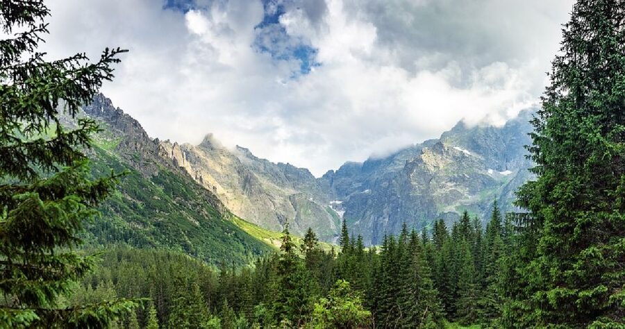 From Krakow: Morskie Oko and Slovakia Treetop Walk - What the $251 price really buys you