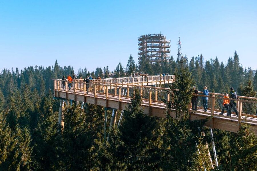 From Krakow: Morskie Oko and Slovakia Treetop Walk - How the day works in practical terms