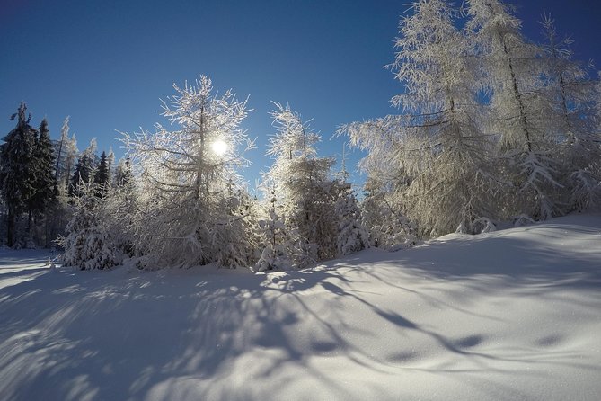 From Krakow: Siepraw Skiing for Beginners - Who Should Book This Siepraw Outing?