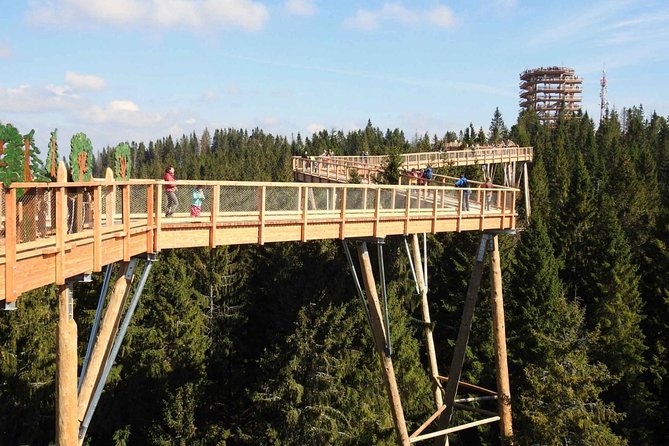 From Kraków: Slovakia Treetop Walk and Bachledka Ski - Ždiar and the culture of the Slovak Tatras