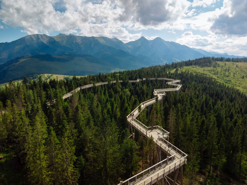 From Kraków: Slovakia Treetop Walk and Thermal Baths - Should you book the Slovakia treetop walk and thermal baths?