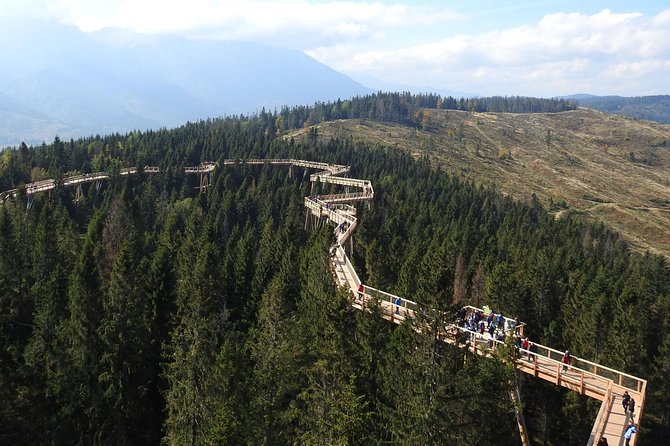 From Kraków: Slovakia Treetop Walk Bachledka and Zakopane - Why Bachledka is the star of the day