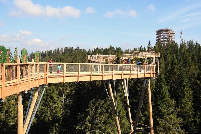 From Kraków: Slovakia Treetop Walk Bachledka and Zakopane - From Slovakia back to Poland through the Tatra region