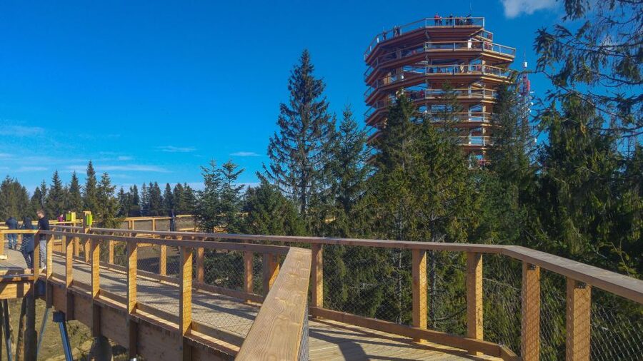 From Krakow: Slovakia Treetop Walk, Zakopane & Thermal Spa - Bachledka Treetop Walk above the Pieniny forests