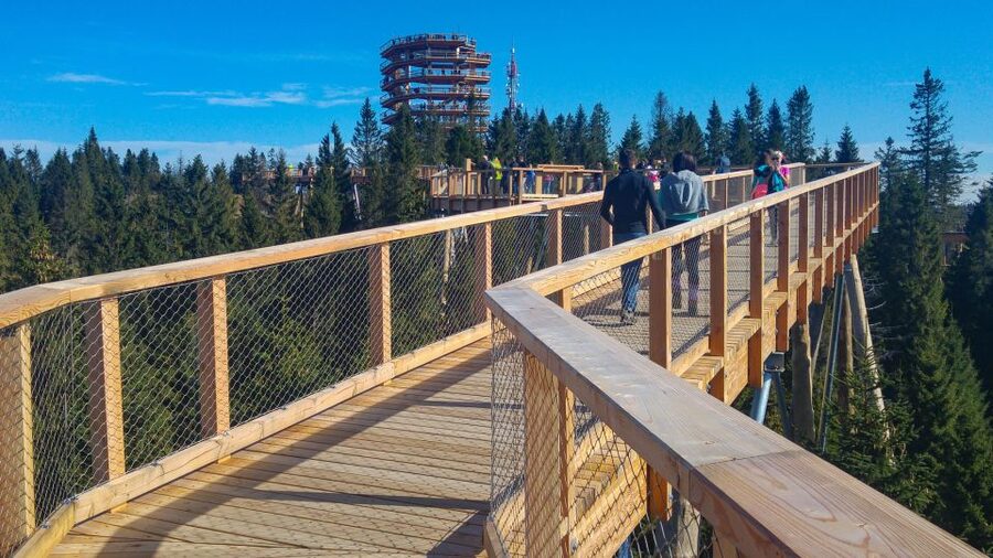From Krakow: Slovakia Treetop Walk, Zakopane & Thermal Spa - Weather, clothing, and border details