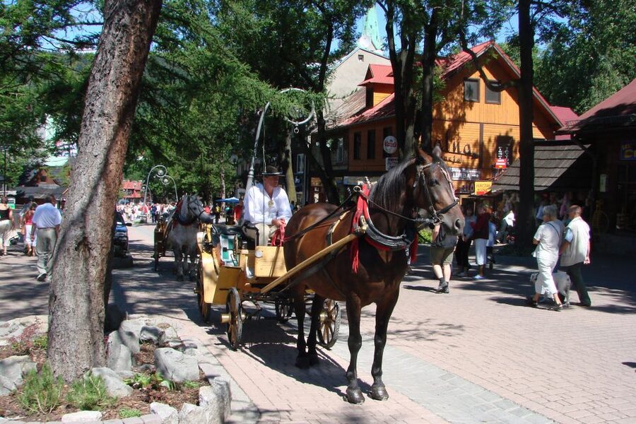 From Krakow: Slovakia Treetop Walk, Zakopane & Thermal Spa - The 2.5-hour drive from Krakow