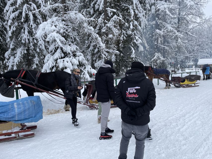 From Krakow: Snowmobile, Zakopane & Chochołowskie Baths - A long drive with a worthwhile payoff