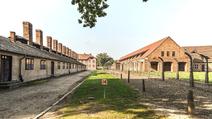 From Krakow: Wieliczka Salt Mine & Auschwitz Guided Trip - Key points to know before booking