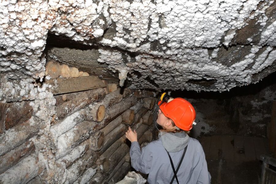 From Krakow: Wieliczka Salt Mine Half-Day Guided Tour - Who should book this mine tour?