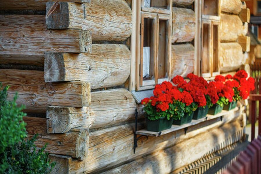 From Krakow: Zakopane and Dunajec River Rafting Tour - Why combine Zakopane and Dunajec rafting?