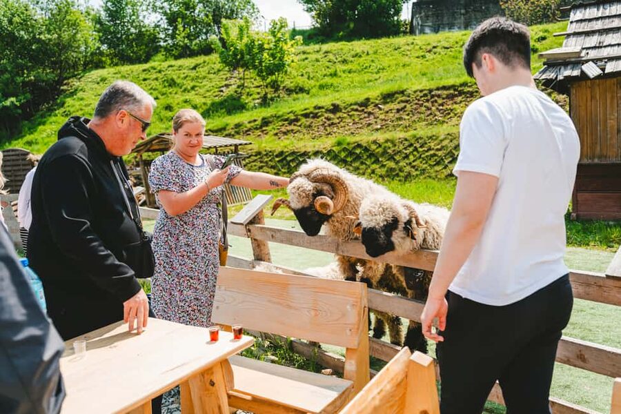 From Kraków: Zakopane & Chochołów A Wooden Jewel of Podhale - Key points to know before booking